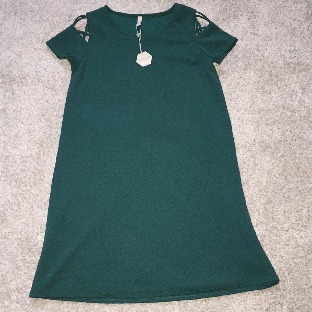 NWT Pinkblush Maternity Swing Dress